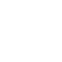 Palmtree@2x